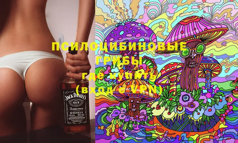 Галлюциногенные грибы Cubensis  Бузулук 